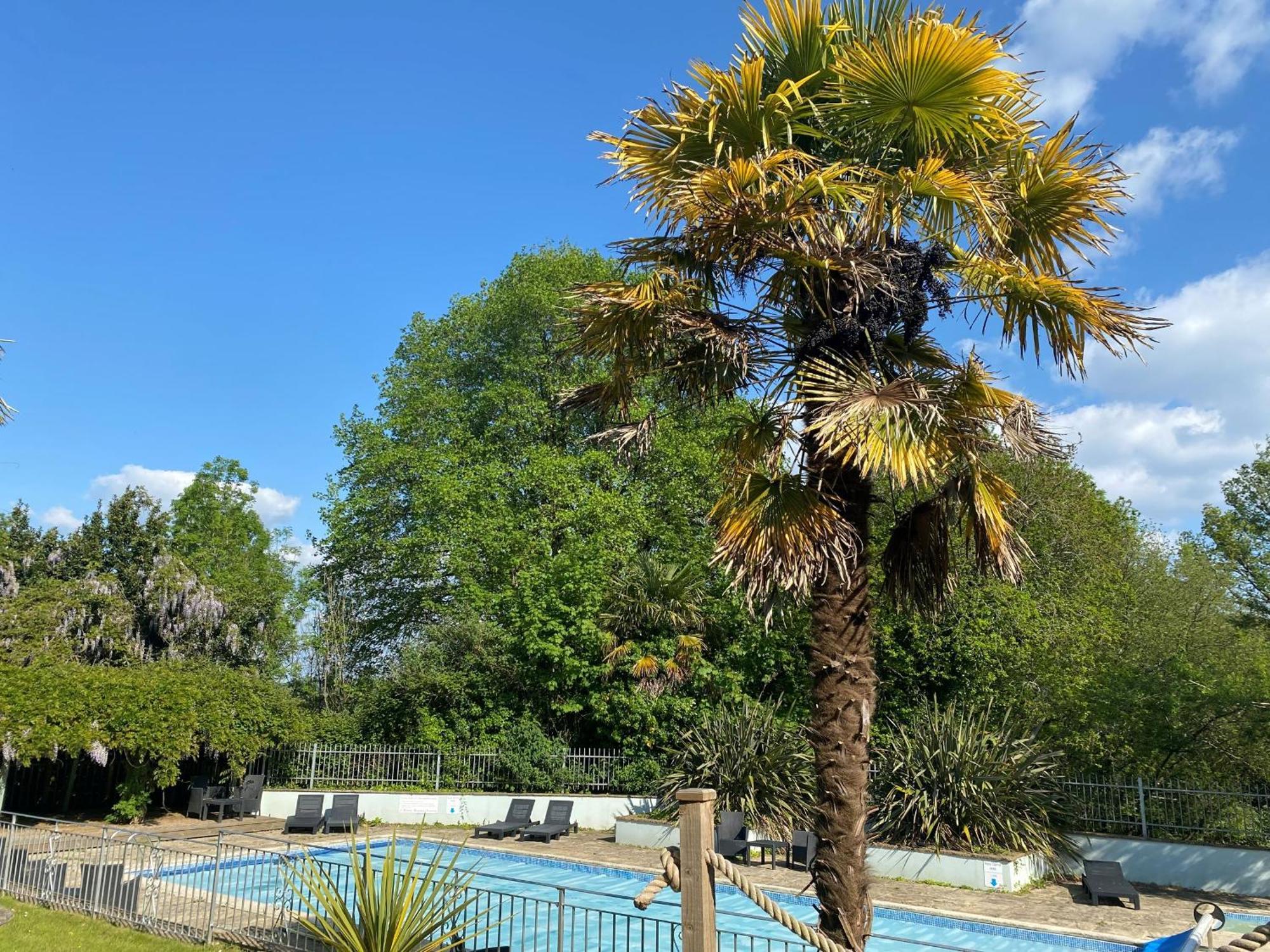 Fernhill Hotel Lyme Regis Ngoại thất bức ảnh